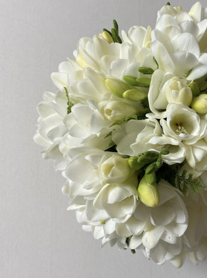 A person holds a round bouquet of white flowers. A few buds have not opened and are yellowish-green.