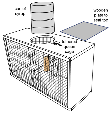 Diagram of a shipping cage used to mail bees. Image description is in caption.