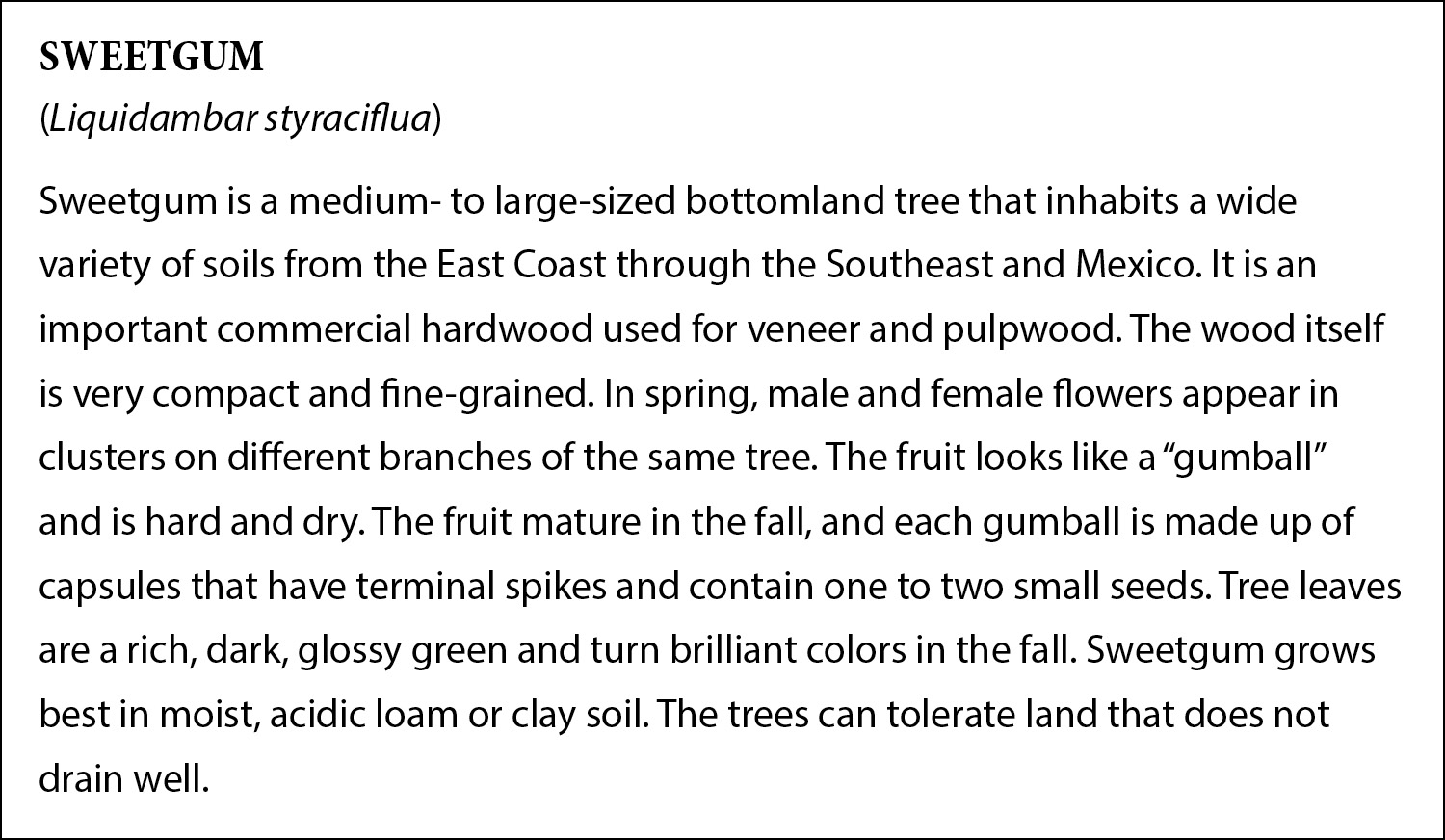 Index card sample text is in html.