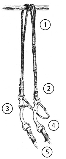 Diagram of a split ear curb bit. Parts are numbered and listed in text.