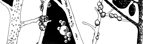 Small circular, scale-like bugs on limbs.