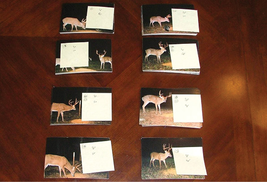 Photos of deer with labels identifying them. 