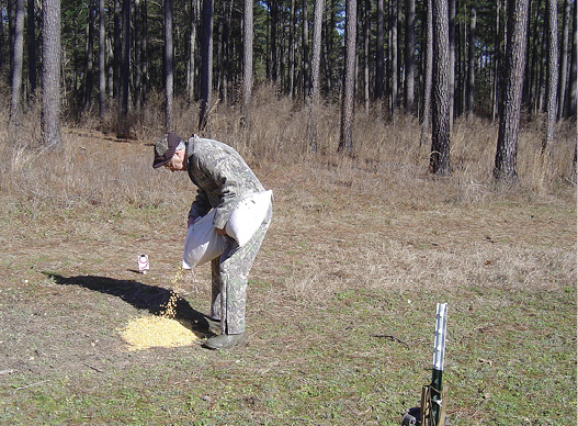 A person pours feed onto the ground. 