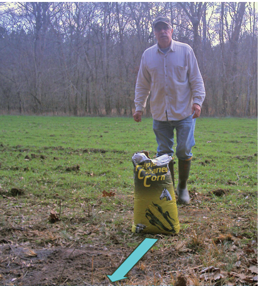 A person prepares to place bait in a field. 