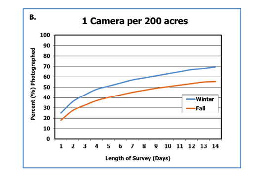 With one game camera per 200 acres, the percent of deer photographed in the fall increased from about 19 percent at day 1 to about 58 percent at day 14. In the winter, about 25 percent were photographed at day 1 and about 69 percent at day 14.3