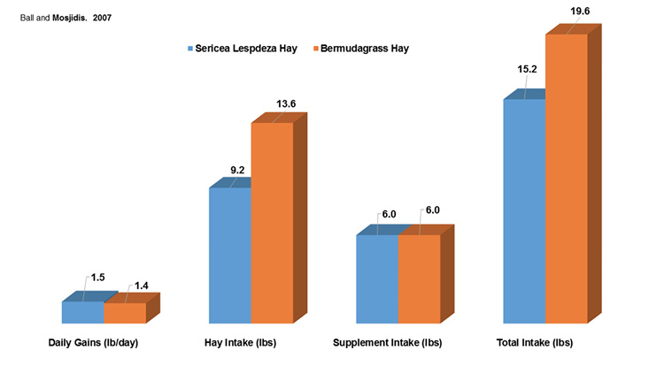 A bar graph of the performance of steers fed either sericea lespedeza or Bermudagrass hay. The steers fed sericea lespedeza had a slightly higher daily gain than the steers fed Bermudagrass, equal supplement intake levels, and lower rates of hay intake and total intake than the Bermudagrass steers.