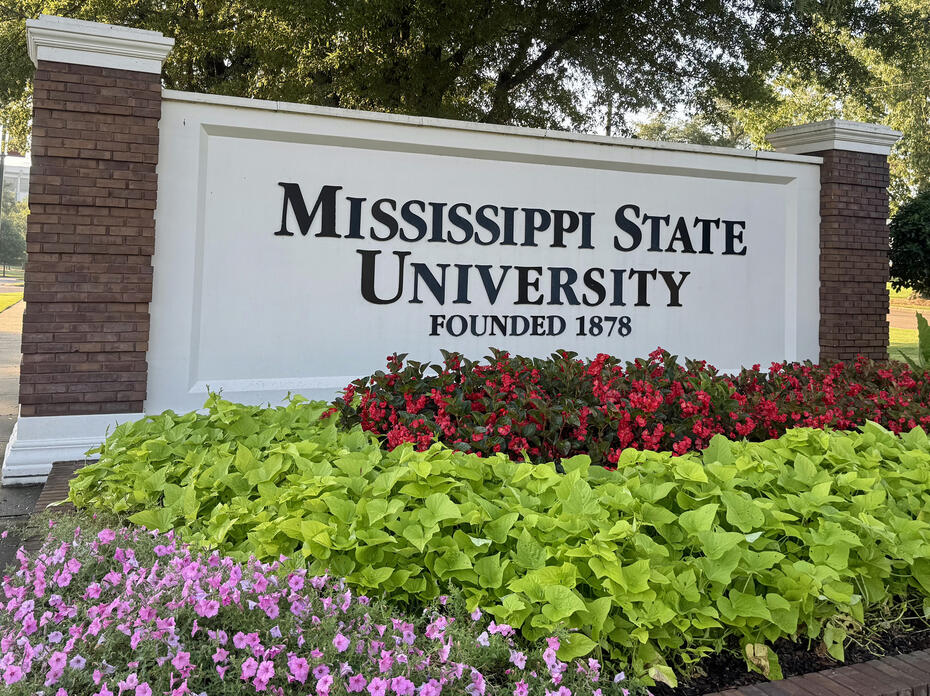 Flowers bloom in front of a university sign.