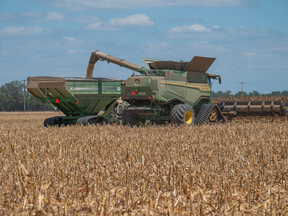 Corn is transferred in a field from the harvester to a grain cart.