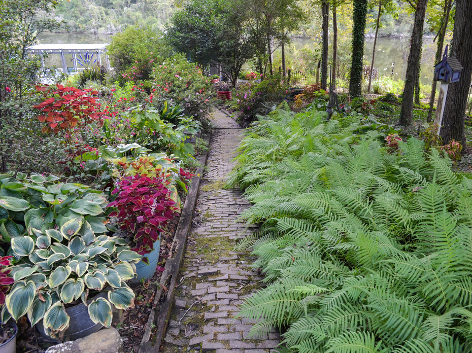 Green ferns line the right side of a brick path.