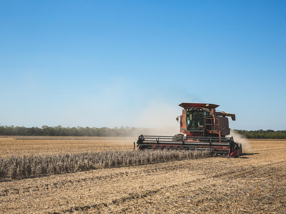 Tractor harvesting soybeans in a field