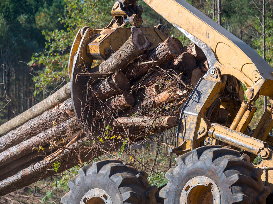 Yellow skidder claw grabs tree logs.