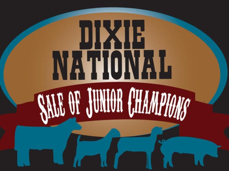 Dixie National Sale of Junior Champions logo