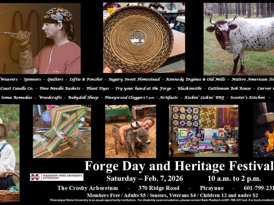 Event flyer featuring knife makers, pineywoods baskets, pineywoods cattle, spinners, weavers, quilters, and Leftie (a miniature donkey).