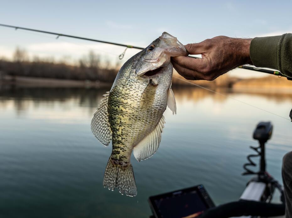 A crappie held by the hand of a fisherman with a pole in the background