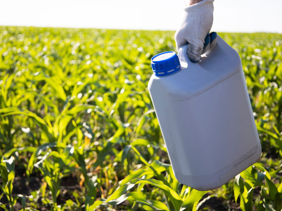 A gloved hand holds a canister against a background of corn. 