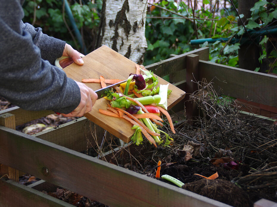 Person scraping compost vegetables in a compost pile.