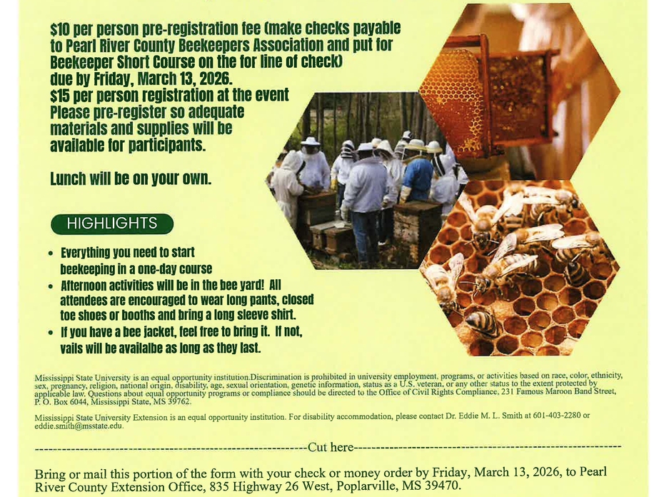 Registation flyer