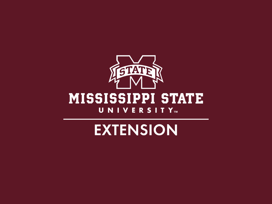 White MSU Extension Logo on Maroon Banner