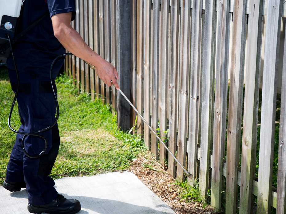A person uses a wand to spray a fence outdoors.