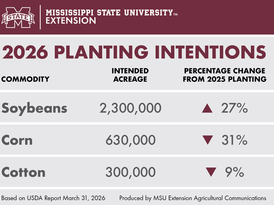 A chart shows the number of acres that Mississippi producers intend to plant in 2026 for the following crops: soybeans, 2.3 million acres, which is 27 percent more than 2025’s planted acreage; corn, 630,000 acres, which is a 30 percent decrease from 2025; and cotton, 300,000 acres, which is a 9 percent decrease from last year’s cotton planting. 