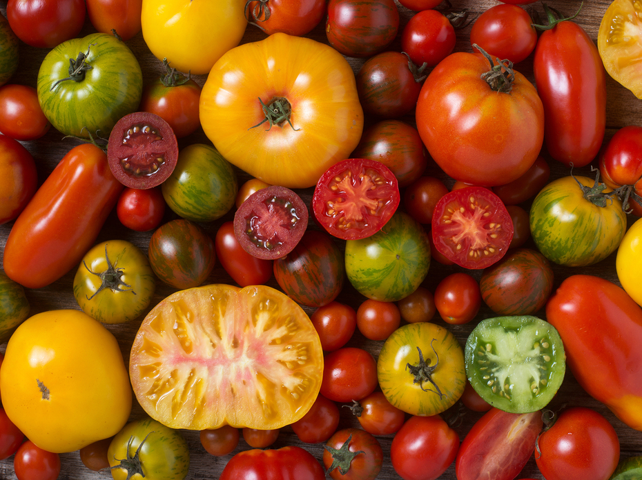 Close-up of colorful tomatoes, some sliced, shot from above