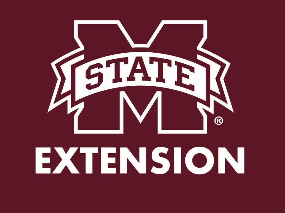 Extension logo