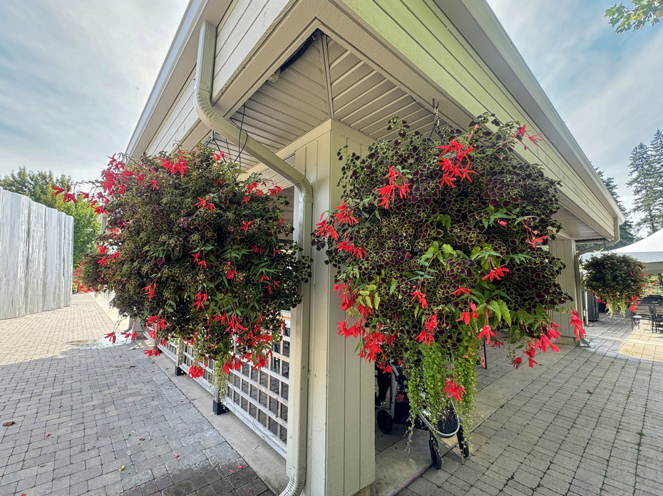 Two baskets hang from the eaves of a house.