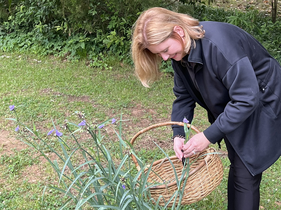 A person holds a basket and handles grassy plants with purple flowers.