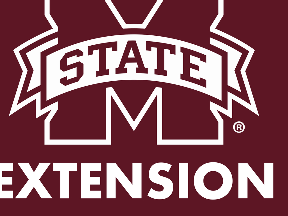 MSU Extension logo