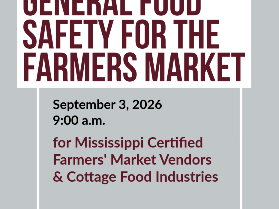 General Food Safety for the Farmers Market Promotional Flyer