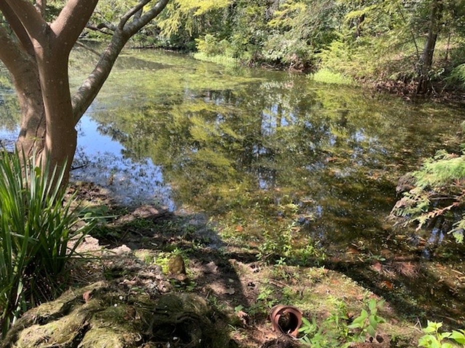 Pond-local_MonroeCo2026