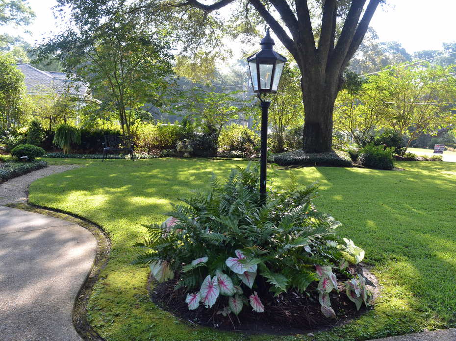A lamp in a yard is surrounded by colorful plants.