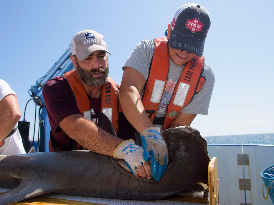 Two men hold a hammerhead shark while conducting research aboard a boat. 