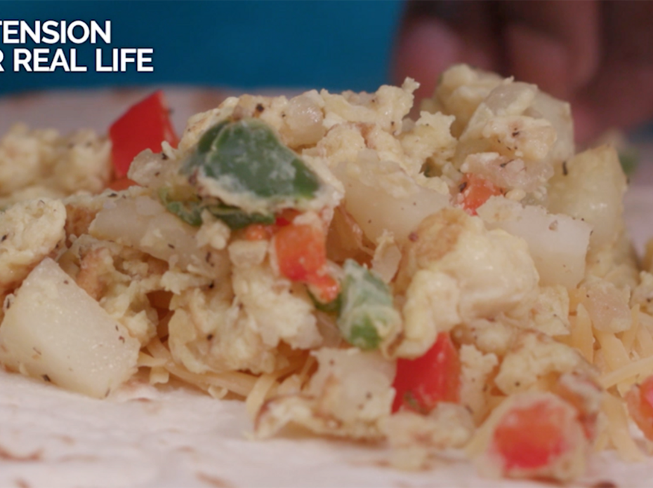 A mixture of diced onions, green and red bell peppers, scrambled eggs, and shredded cheese on a flour tortilla.