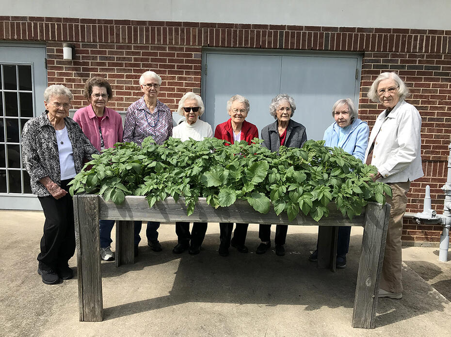 A group of people stand behind a waist-high, elevated raised gardening bed full of green potato foliage.