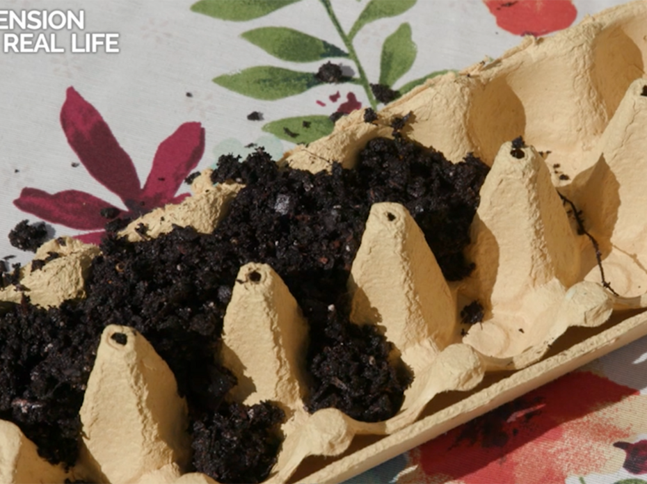 A tan-colored cardboard egg carton partially filled with potting soil on top of a floral tablecloth. 