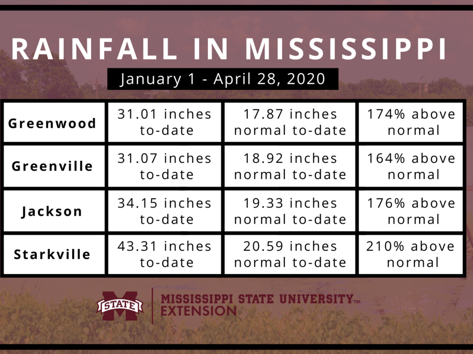 Graphic showing Mississippi rainfall totals in 2020.