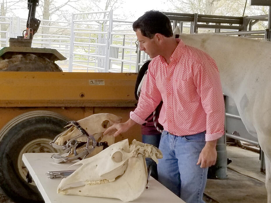 A man stands behind a table while demonstrating equine dental equipment on two horse skulls.