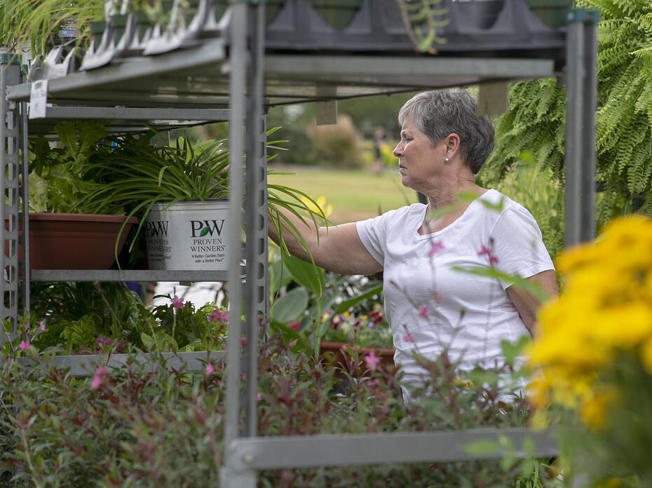 A woman reaches for a plant on an outdoor shelving unit.