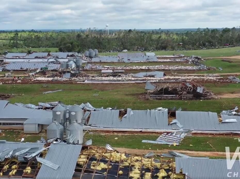 Metal roofs of poultry houses lie on the ground in rows amid twisted metal and debris.