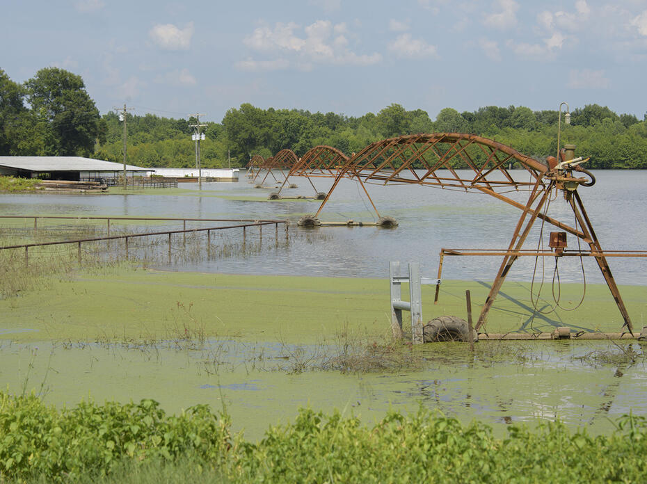 A pivot irrigation system stands in algae-covered water in a flooded field with farm buildings in the distance.
