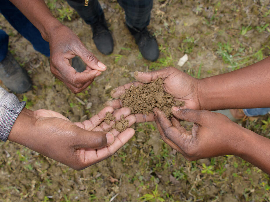 Several human hands hold dirt