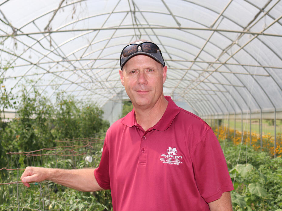 Man in a maroon shirt and baseball cap in a greenhouse.
