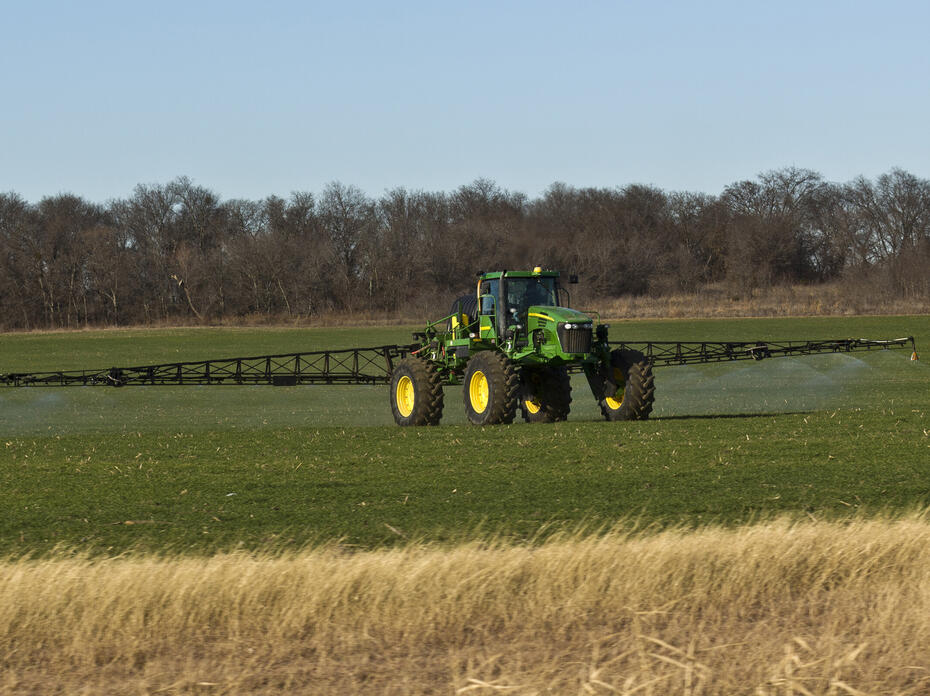 A tractor with a spray rig crosses a wheat field.