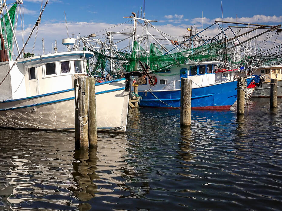 shrimp boats in the dock