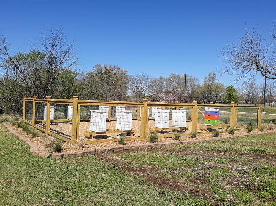 A fenced area encloses several beehives. 