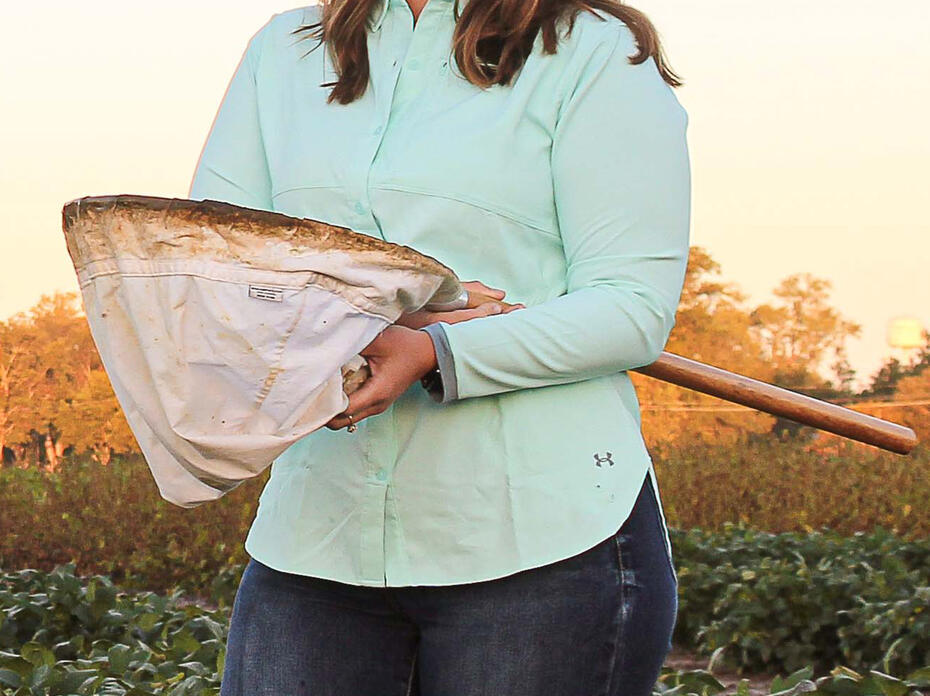 A woman holds a net while standing in a field.