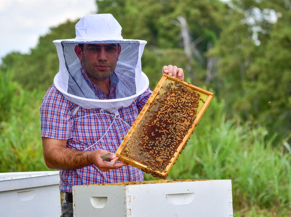 A man displays a frame from a honeybee hive box.