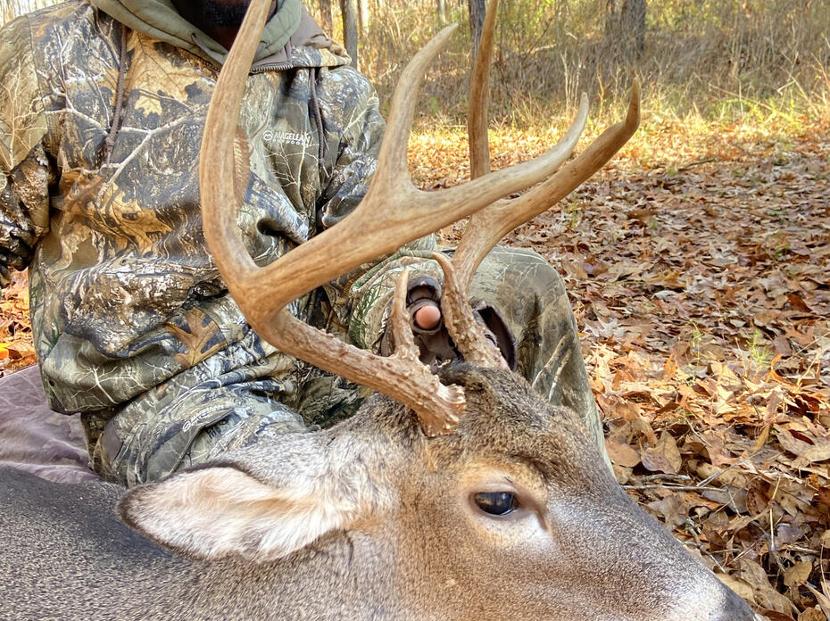A man kneels beside a harvested buck.