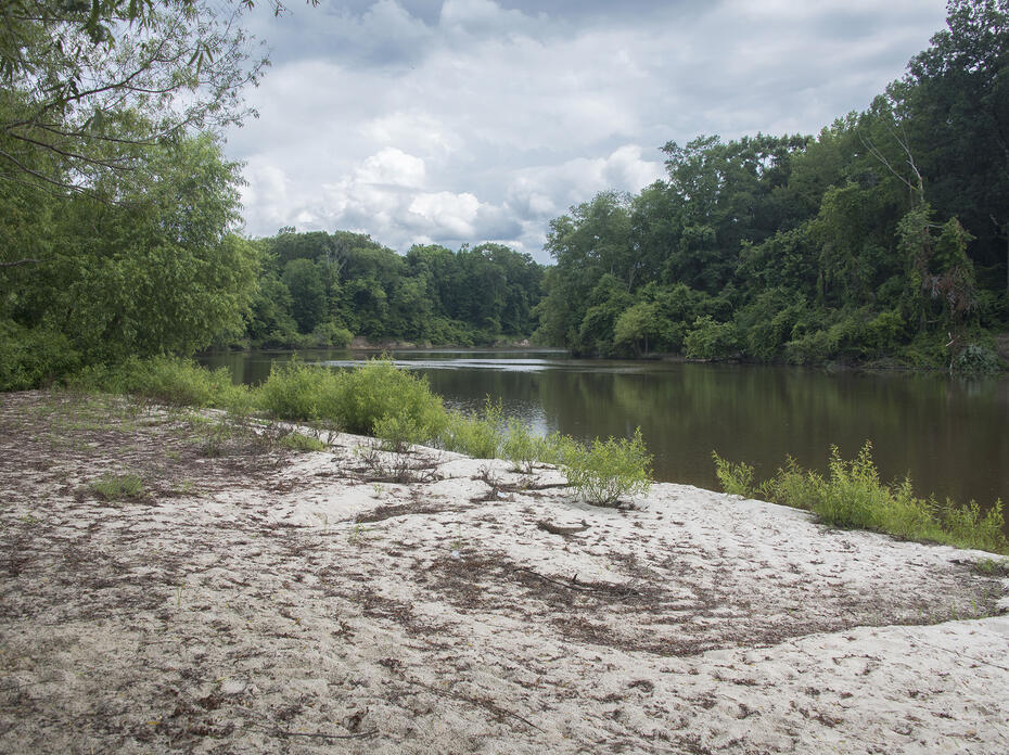 A small river runs through a wooded area with a sand beach.